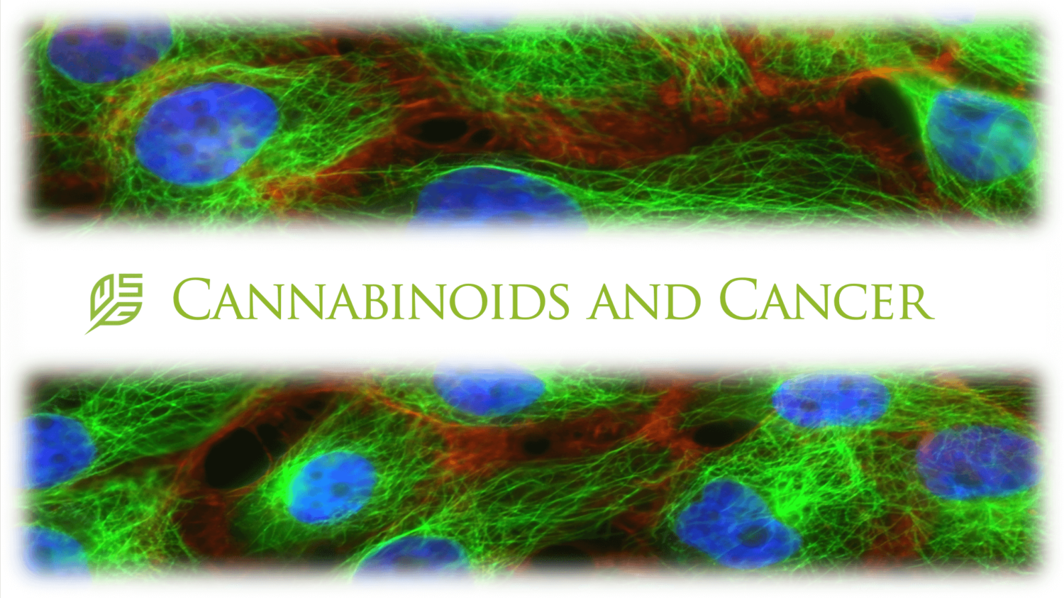 Cannabinoids & Cancer - Society Of Cannabis Clinicians