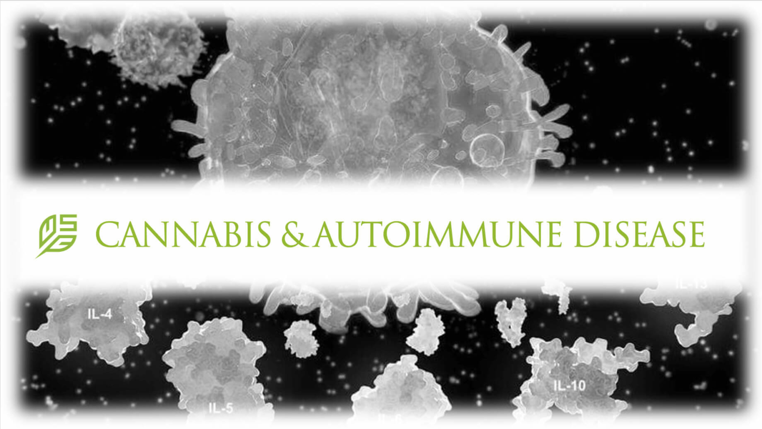 Cannabis Autoimmune Disease Society Of Cannabis Clinicians   Cannabis For Autoimmune Disease 1536x865 